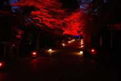 油山寺