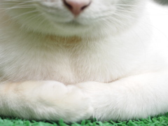 秘密のスポット
