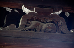 虎