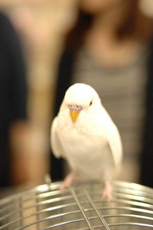 DSC_9491