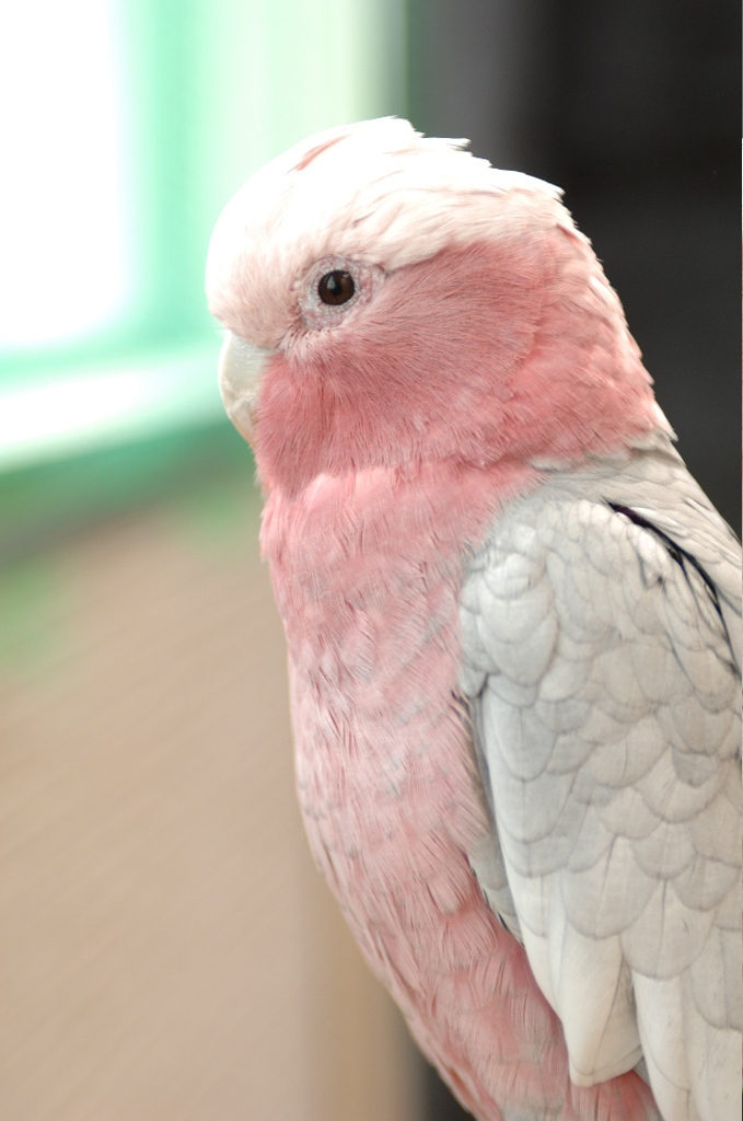 DSC_1575