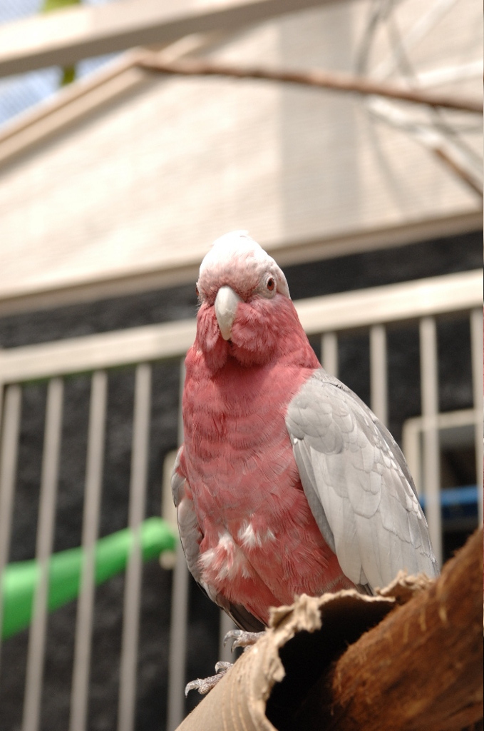 DSC_1550