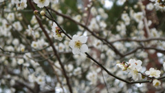 P1010653[2]