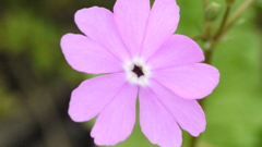 P1020020