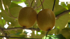 P1020578