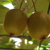 P1020578