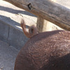 P1010528[1]