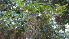 P1010660[1]