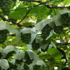 P1020562