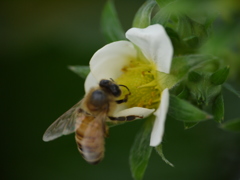 P1040173