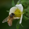 P1040173
