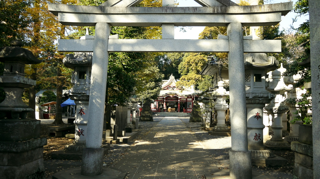 11.21参道