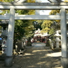 11.21参道
