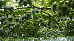 P1020561