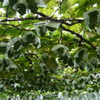 P1020561