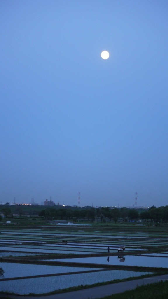 月７