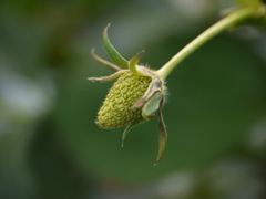 P1040179