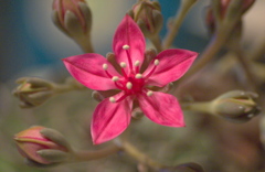 P1020277−１