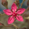 P1020277−１