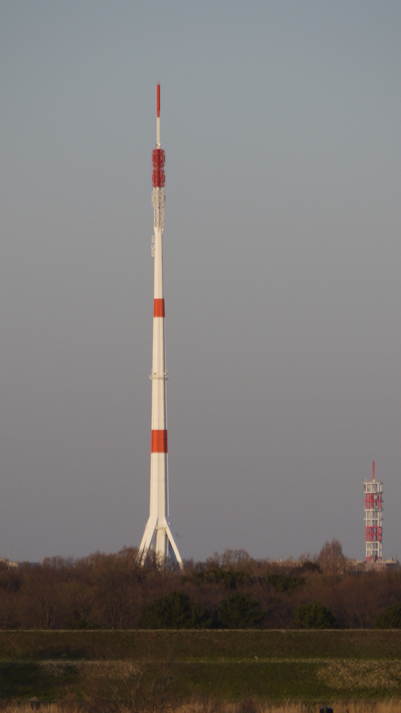 P1010868