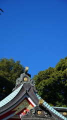 11.21青空３