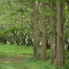 P1020357