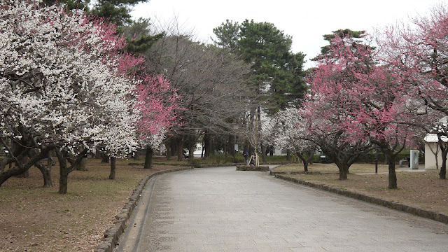 P1010634[1]