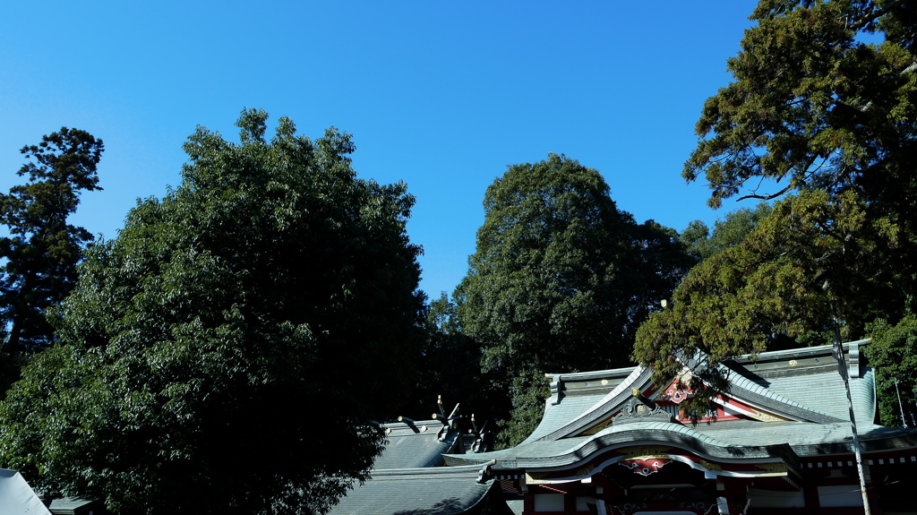 11.21青空２