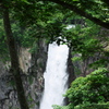P1020446-1