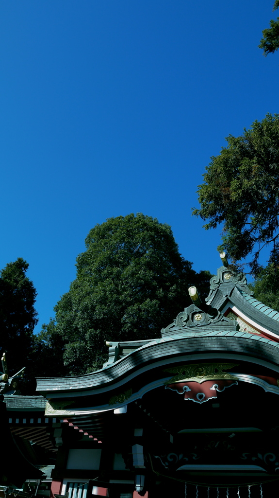 11.20青空