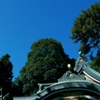 11.20青空