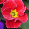 P1010929