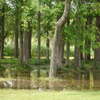 P1020361