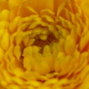 P1010917