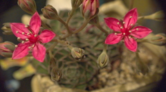 P1020296−１