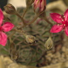 P1020296−１