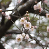 P1010609[1]
