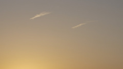 P1010439[2]