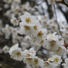 P1010659[1]