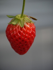 P1040161