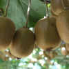 P1020576