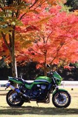 寸又峡の紅葉