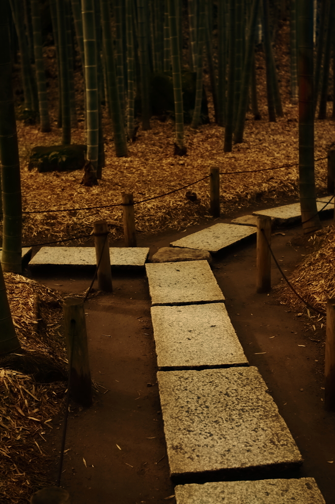 分かれ道