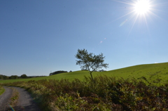北海道　釧路