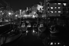 DSC_0269