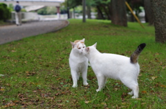 チュッ