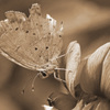  Broken Heart 