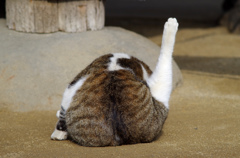 お手入れ中２