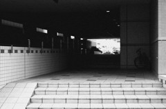 闇の向こうの光