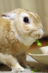 今日のクリちゃん２